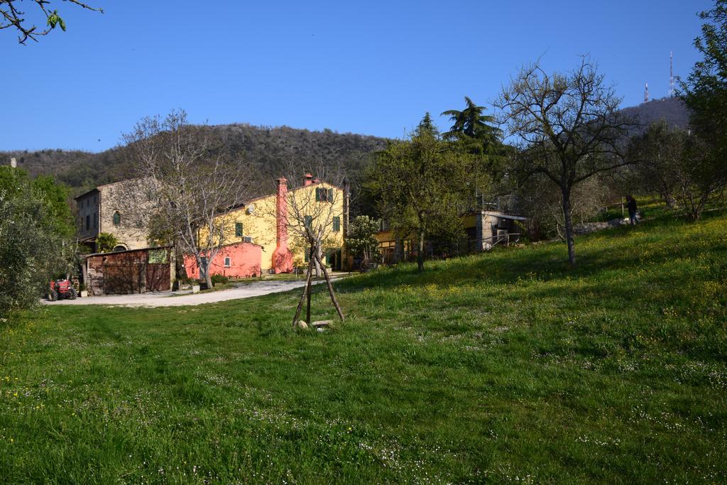 Agriturismo Podere Villa Alessi Cinto Euganeo Екстериор снимка
